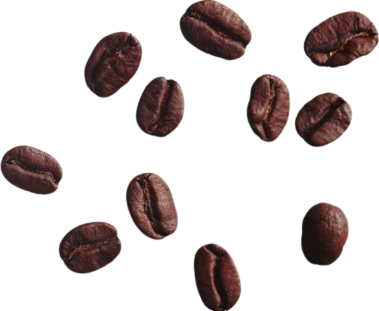 coffee bean tea cappuccino png removebg preview